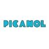PICANOL INDIA PVT. LTD.